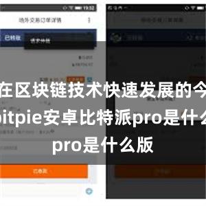 在区块链技术快速发展的今天bitpie安卓比特派pro是什么版